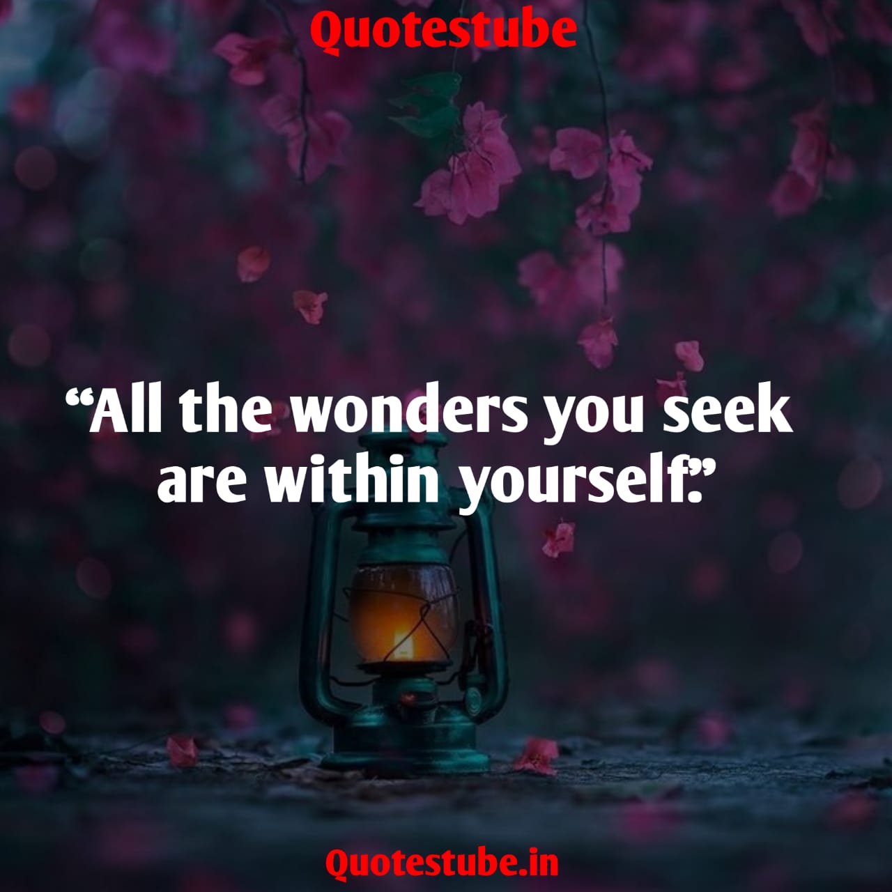 Best Understanding Quotes On Love, Life, Relationship