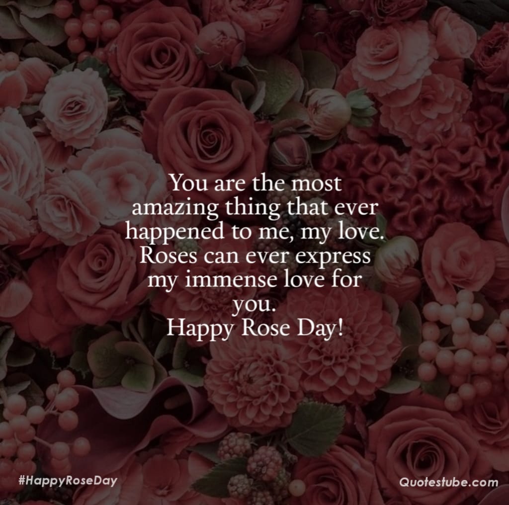 rose day wishes 