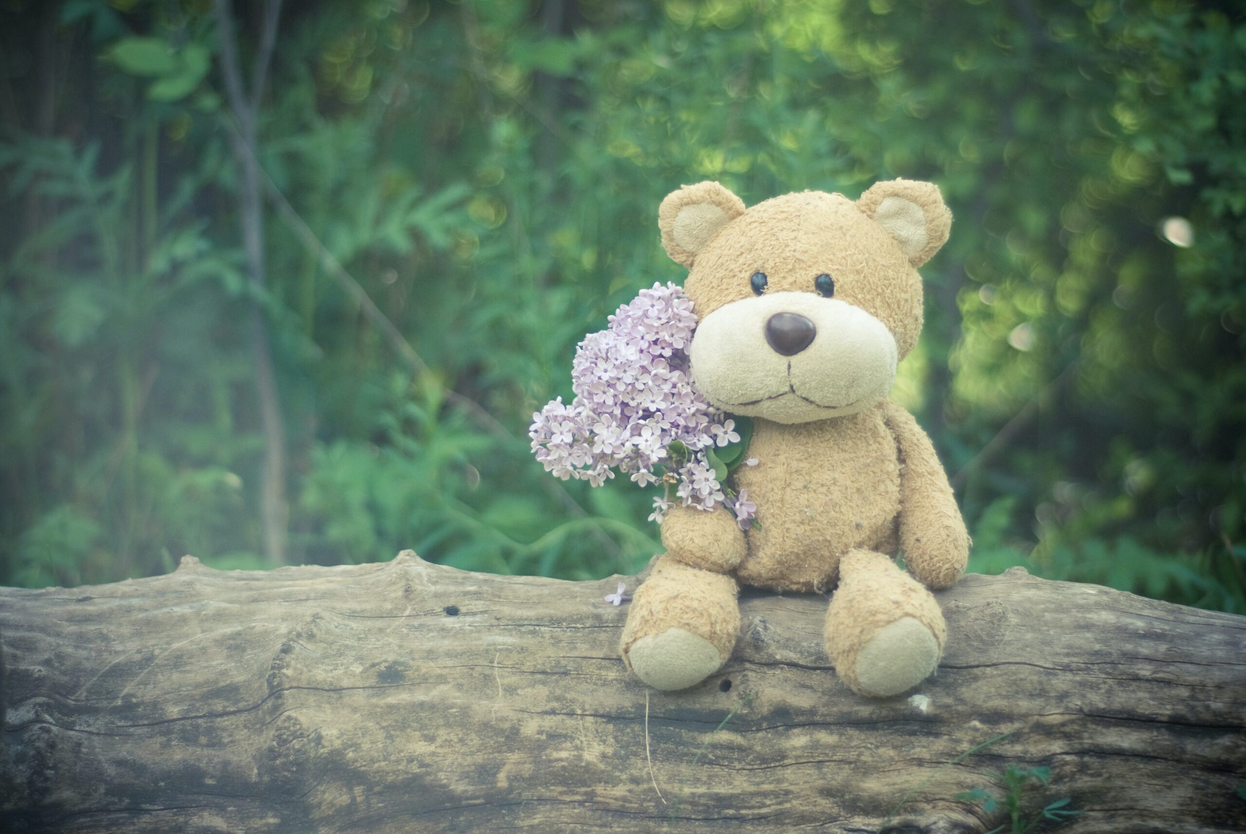 Happy Teddy Day 2022 Images & Quotes: Latest Wishes, HD Wallpapers Of Cute  Teddy Bears And Romantic Messages To Celebrate the Fourth Day of  Valentine's Week